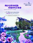房地产广告