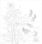 荷花鱼