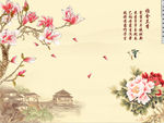 雅舍兰香玉兰