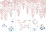 紫腾花