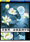 艺术国画夜色莲花（矢量图）