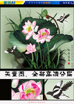 艺术国画好运莲莲（矢量图）