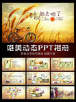 同学会动态PPT相册