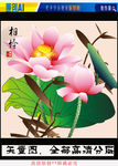 艺术国画荷花相怜（矢量图）