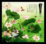 荷花