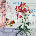 欧美花卉装饰画