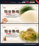 大米广告图片