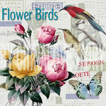 欧美花鸟装饰画