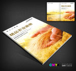 小麦丰收农产品画册封面