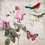 欧美花鸟装饰画