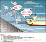 航运 插图