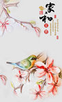 时尚花纹 玄关