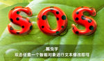 瓢虫字