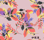 叶子花