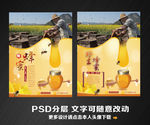 蜂蜜海报设计