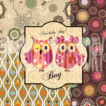 卡通猫头鹰装饰画