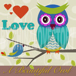 卡通猫头鹰装饰画