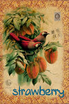 欧美油画