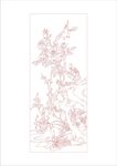 牡丹