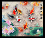 荷花九鱼图