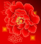 红牡丹