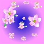 梨花