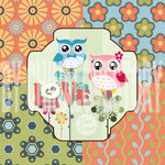 卡通猫头鹰装饰画