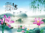 唐韵荷花