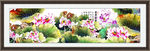中国画荷花