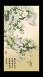 玉兰花
