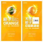 橙子水果易拉宝