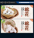 棉花 唯美中国风