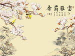 雅室兰香玉兰花