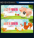 生态养殖 家禽