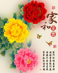 十字绣钻石画无框画家和富贵牡丹