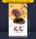 灵芝