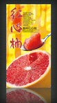 红心柚