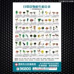 食物相生相克表 海报