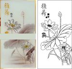 雅荷飘香