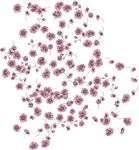 碎花