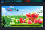 草莓  水果  海报