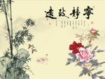 宁静致远牡丹花