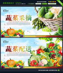 蔬菜展板图片
