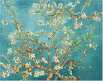 梵高 杏花 油画 钻石画