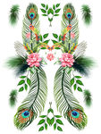 孔雀羽毛花卉图案