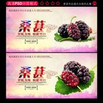 桑葚
