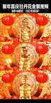 猴年大红灯笼牡丹花中国风视频