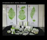 茶叶包装  平面图