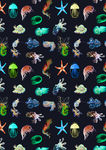 数码印花海洋生物水母海星图案