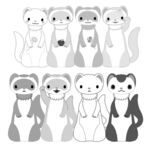 动物